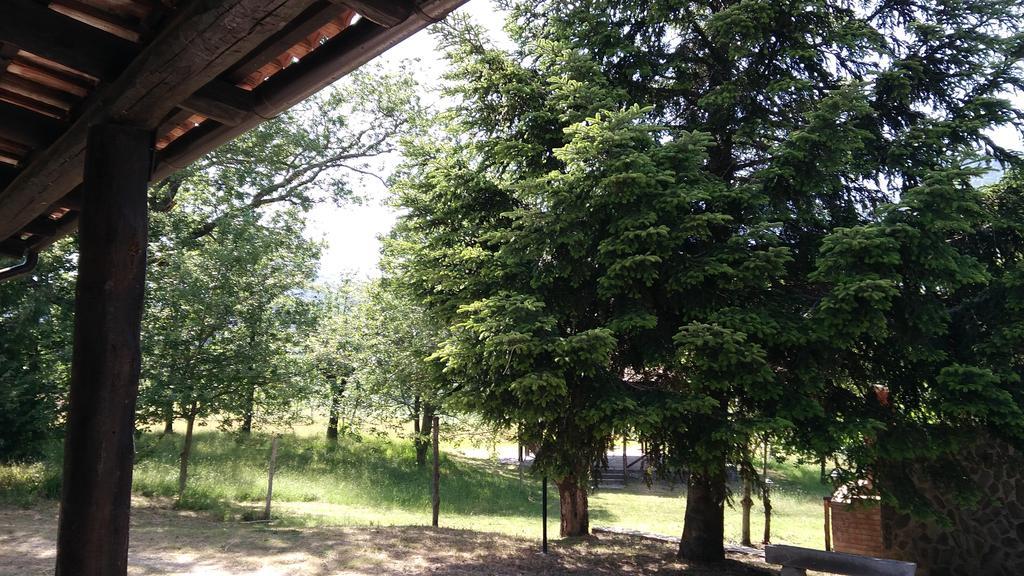 Agriturismo Collevento Трекина Екстериор снимка