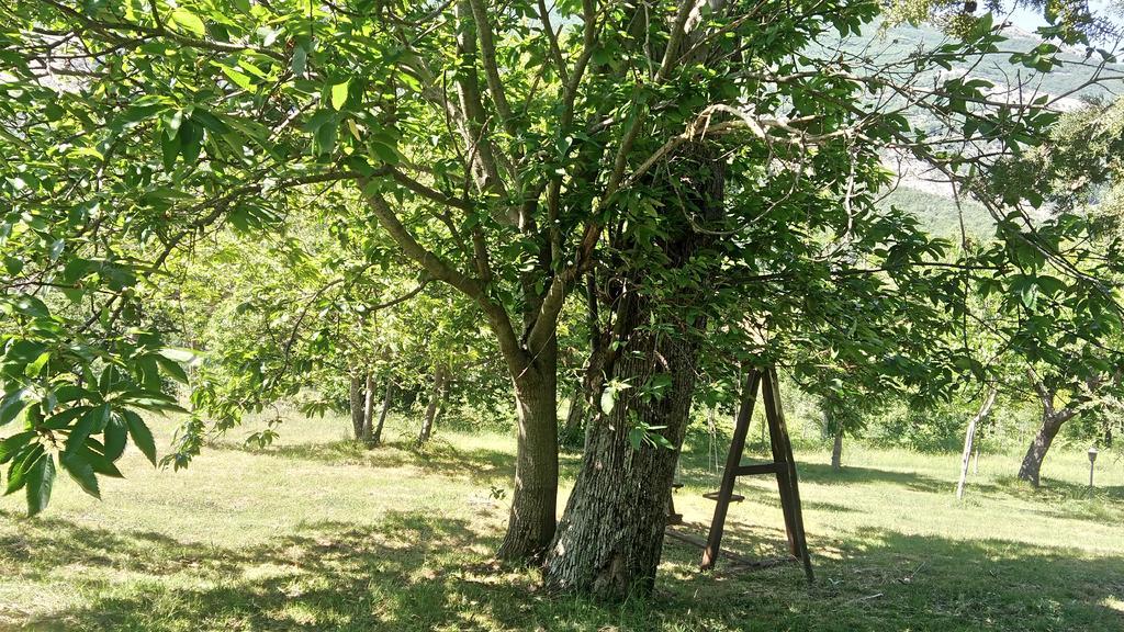 Agriturismo Collevento Трекина Екстериор снимка