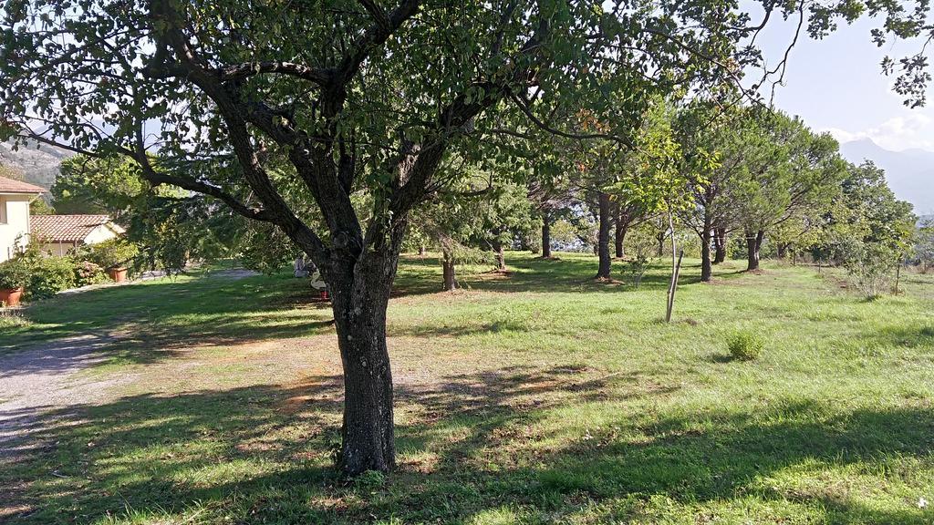 Agriturismo Collevento Трекина Екстериор снимка